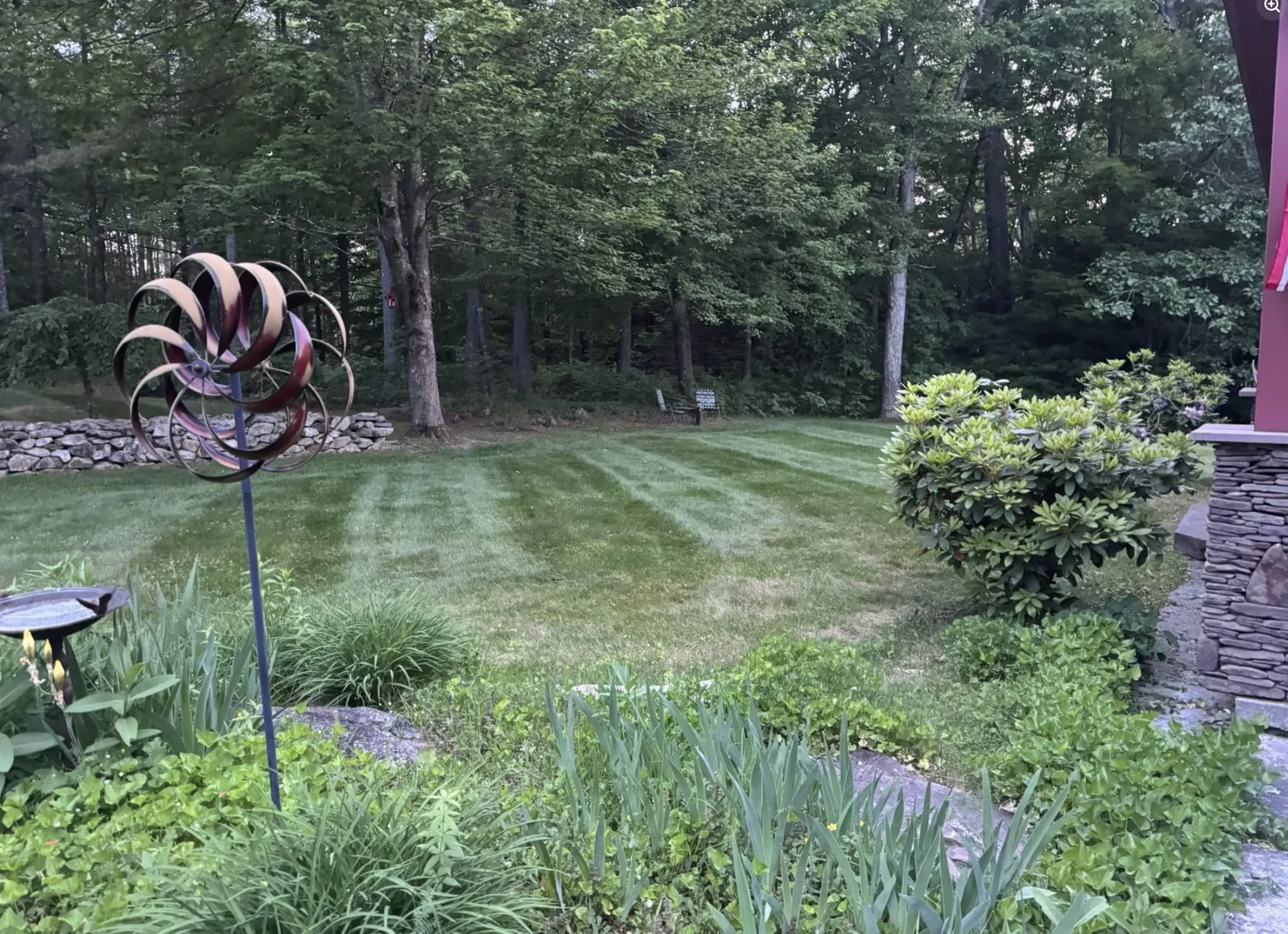 Freshly mowed residential lawn surrounded by mature landscaping and woods